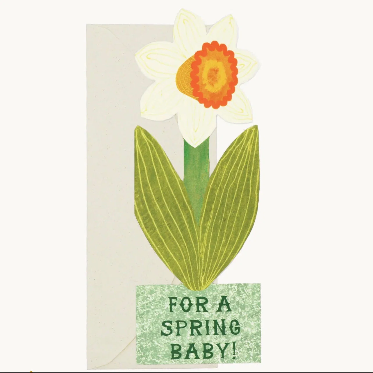 New Baby Celebrations